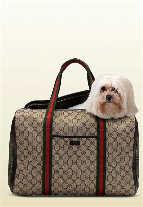 gucci hundetasche|Designer Dog Carrier .